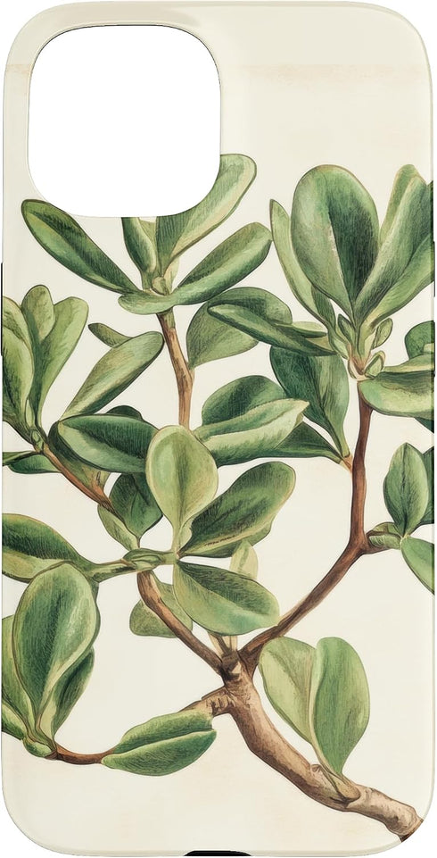Antique Plant Botanical Art Garden DonaOnca Succulent Jade Plant Vintage Scientific Illustration Plant Case for iPhone 15