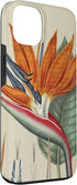 Paradiesvogel Botanical 13 Bird of Paradise Botanical, Tropical Plant Case for iPhone