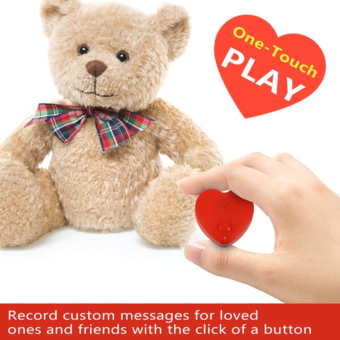 JRGKJCP 5min Voice Recorder for Stuffed Animal, Personal Voice Message Recordable Sound Recorder Chips Module