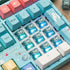 Akko 5-Pin 50gf (45pcs) Creamy Cyan Clicky Switch with LED Diffuser for Backlit Mechanical Keyboard - Pre-Lubed