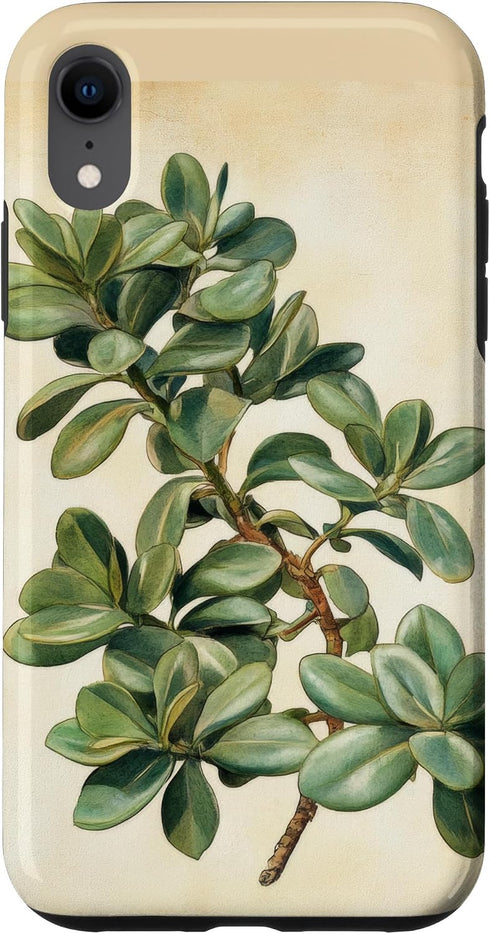 Antique Plant Botanical Art Garden DonaOnca Succulent Jade Plant Vintage Scientific Illustration Plant Case for iPhone XR