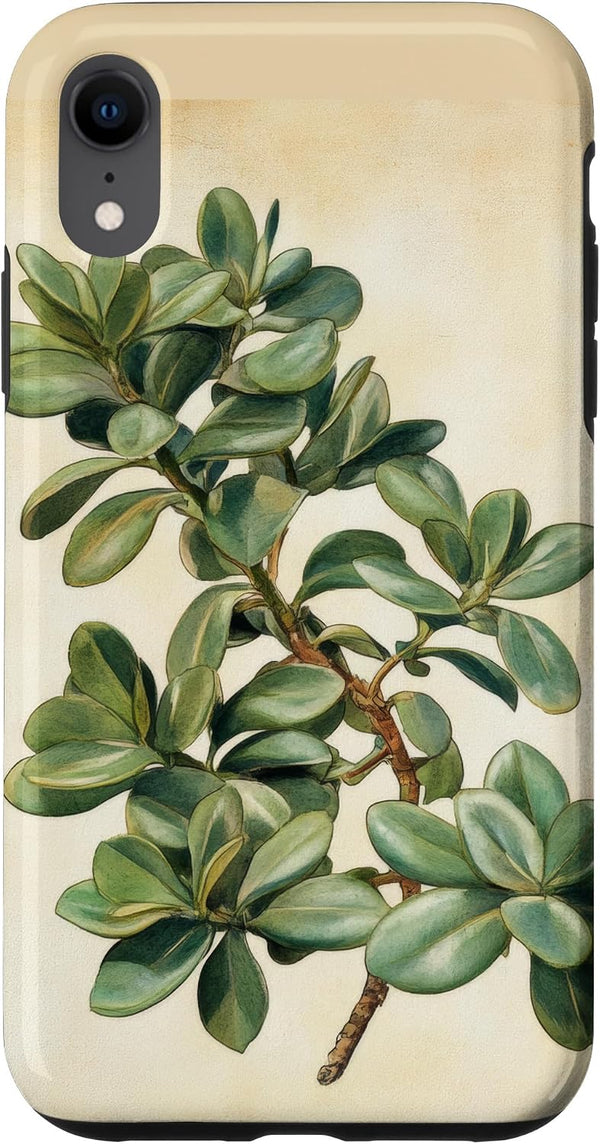 Antique Plant Botanical Art Garden DonaOnca Succulent Jade Plant Vintage Scientific Illustration Plant Case for iPhone XR