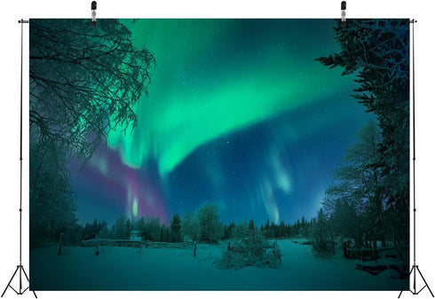 BELECO 10x8ft Fabric Aurora Borealis Backdrop Winter Forest Snowfield Northern Lights Night Sky Background Polar Lights