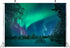BELECO 10x8ft Fabric Aurora Borealis Backdrop Winter Forest Snowfield Northern Lights Night Sky Background Polar Lights