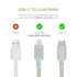 Native Union Belt Cable, USB-C to Lightning, 4ft, MFi Certified, Ultra-Strong Reinforced Charging Cable, Compatible