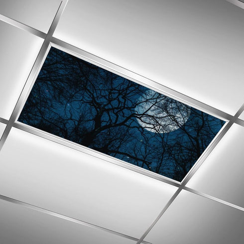 2PCS 4x2Feet(Night RoseFace Fluorescent Light Covers for Classroom Ceiling Lights Magnetic Light Covers,Fluorescent