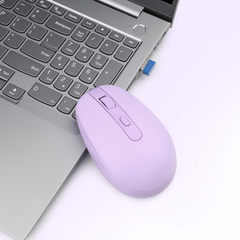 Rii RM700 2.4G Wireless Mouse Silent Mouse with USB Nano Receiver for Laptop,PC,Mac,Chromebook,Windows (Purple)