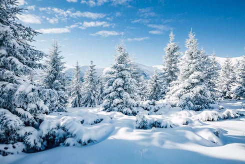BELECO 5x3ft Fabric Winter Snow Forest Backdrop, Majestic White Xmas Tree Scene for Christmas New Year Event