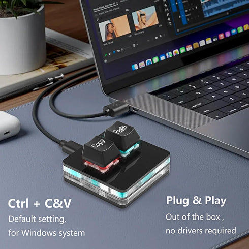 SinLoon USB Mini 2 Key Keypad 2-Key Copy Paste Keyboard OSU Keypad HotSwap One Handed Mechanical Gaming Keyboard with USB Cable for Accounting Working or Rhythm Games