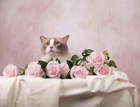 Kate Pink Backdrop - Professional Pet Photography Background for Photo Studio, 5x7ft