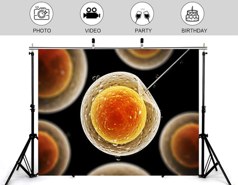 KeyWork 7x5ft Egg Cell Fertilization Backdrop Reproductive Medical Photography Background for Science Fair Health Event