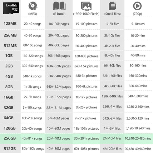Lerdisk 256GB U3 (256GB U3) Factory Wholesale Micro SD Card in Bulk Micro SDXC UHS-I Produced by Authorized Licencee