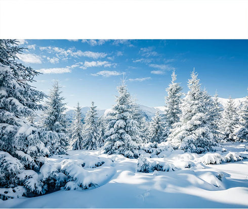 Renaiss 7x5ft Winter Snow Scene Backdrop, Snowy Pine Trees Photography Background for Christmas Decor