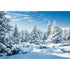 Renaiss 7x5ft Winter Snow Scene Backdrop, Snowy Pine Trees Photography Background for Christmas Decor