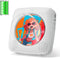 Gueray Portable CD Player Bluetooth: CD Players for Home Rechargeable Desktop Wall Portable