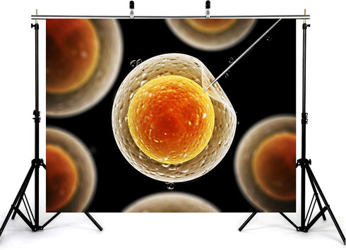 KeyWork 7x5ft Egg Cell Fertilization Backdrop Reproductive Medical Photography Background for Science Fair Health Event