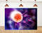 KeyWork 8x5ft Human Fertilization Illustration Backdrop Reproductive Science Photography Background for Health Fair