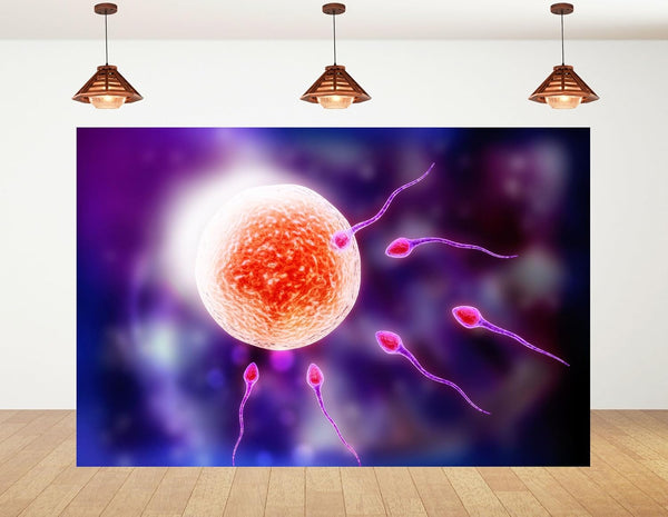 KeyWork 6x6ft Human Fertilization Illustration Backdrop Reproductive Science Photography Background for Health Fair