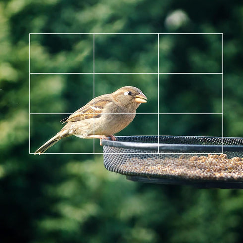 Rule of Thirds Photography Composition Viewer Finder, Portable Enhance Photography/Painting/Drawing View Finder