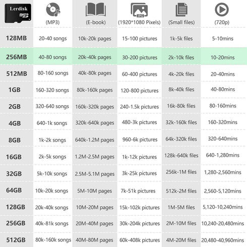 Lerdisk 256MB (0.25GB) Pack 10 MP3/Old Factory Wholesale Micro SD Card of in Bulk Low Capacity for Phones/Small Files