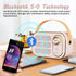 Anliato Retro Speaker, Vintage Portable Speakers with Loud Volume Support TF Card U Disk AUX Input Old Style