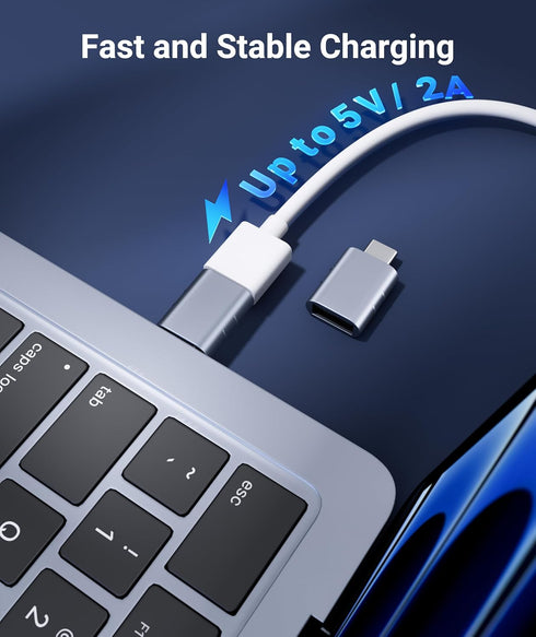 Syntech USB C Male to USB3 Female Adapter, Blue, Pack of 2, Compatible with iPhone 16 Pro Max, iMac 2021, iPad Pro
