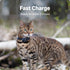 Tractive GPS Cat Mini Charger Cable - Fast Charging Solution