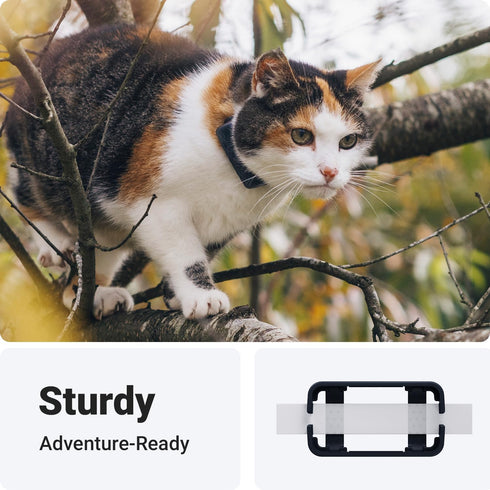 Tractive (Pack 2) GPS Cat Mini Clip Mounting