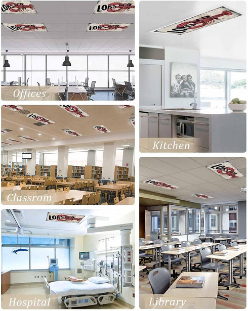 Velvessentia 3 Pack, 4x2 Summer Fluorescent Light Covers for Ceiling Lights Lobster Nautical Magnetic Classroom Light