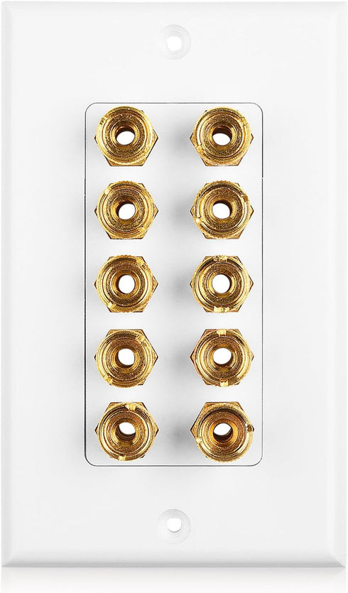 Cable Matters Speaker Wire Wall Plate for 5 Speakers, White