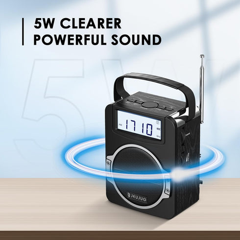 Portable AM FM Digital Radio with Bluetooth, Rechargeable, Loud Speaker, Best Reception for Home Outdoor, Black