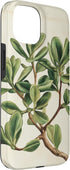 Antique Plant Botanical Art Garden DonaOnca 15 Succulent Jade Plant Vintage Scientific Illustration Plant Case