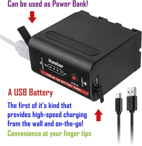 Kastar 1-Pack NP-F980EXP Battery and LTD2 USB Charger, Compatible with Bosma G1 Pro 8K Camera (MFT)