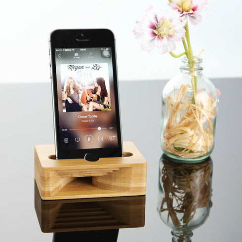 Fanshu 5.5 Inches Cell Phone Stand Amplifier, Desktop Mobile Phone Holder, Universal Portable Wood Cellphone Dock on