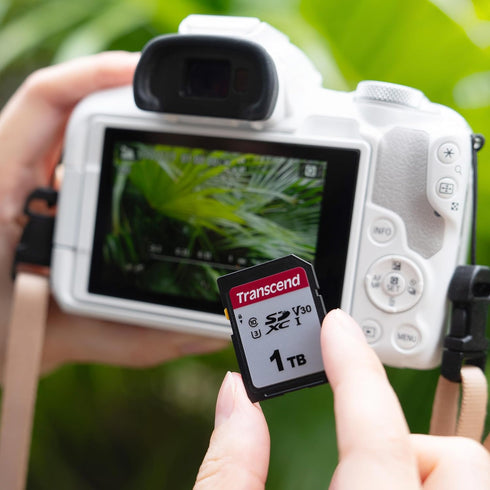 Transcend SDC300S 128GB 100MB/s, U1 V10, 10 SDXC SD Card, Compatible with DSLR Cameras/ Digital Cameras / Trail Cameras