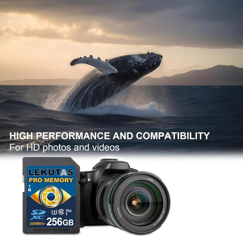 256GB SDXC UHS-I Memory Card - Up to 200MB/s, C10, U3, V30 for 4K UHD Video Cameras