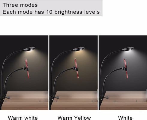 Sokani Dimmable Selfie Ring Light with Cell Phone Holder and Stand Bracket for YouTube TIK Tok Tiktok Zoom Video