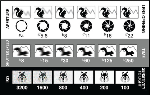 (2 Pack) DSLR/mirrorless Photography Cheat Sheets Credit Card Size Reference Card Fits in Pocket/Wallet/Camera Bag.