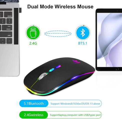 HOTLIFE Slim Rechargeable LED Wireless Mouse, Portable USB Optical 2.4G Bluetooth Computer Mice with Type C Adapter