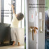 WiFi Door Window Sensor Alarm: WiFi Door Sensor with App Alerts, 120 dB Siren, Timed Arming and Disarming