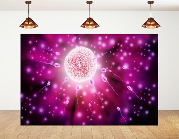 KeyWork 5x4ft Fertilization Science Illustration Backdrop Reproductive Biology Photography Background for Health Fair