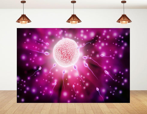 KeyWork 9x6ft Fertilization Science Illustration Backdrop Reproductive Biology Photography Background for Health Fair