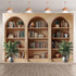 YCUCUEI 7x5ft Fabric Arched Bookshelf Backdrop School Library Books Modern Office Plants Video Conference Photography