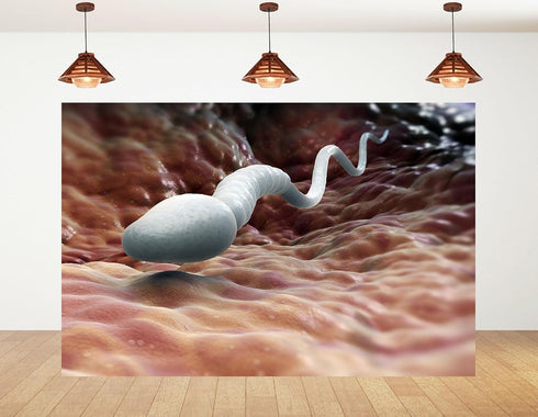 KeyWork 6x6ft Sperm Cell Backdrop Microscopic Reproductive Tissue View Photography Background for Medical