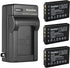 Kastar 3-Pack Q120 Battery and AC Wall Charger for MINOLTA MN35Z, Zoom BT-03, Bell & Howell B35HDZ Camera