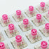 Silent Keyboard Switches, Kailh Box Silent Pink Switches for Mechanical Keyboard, 3-pin 35gf Linear/Typing (10Pcs)