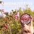 Andoer Kaleidoscope Glass Prism, 77mm Kaleidoscope Prism Camera Glass Filter Variable Number of Subjects SLR Photography Accessories (Kaleidoscope)