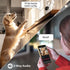 Night Owl Indoor Plug-in Wireless 3MP Deterrence Camera with Pan, Tilt and 2-Way Audio
