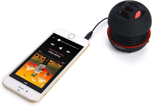 AYL Mini Speaker System - Portable Plug-in Speaker with 3.5mm Aux Input for Laptop, MP3, iPhone, iPad, Black