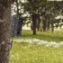 Game & Trail Camera Tree Mount Holder, Hunting Accessory Deer Camera Wall Stand and Tree Mount Holder